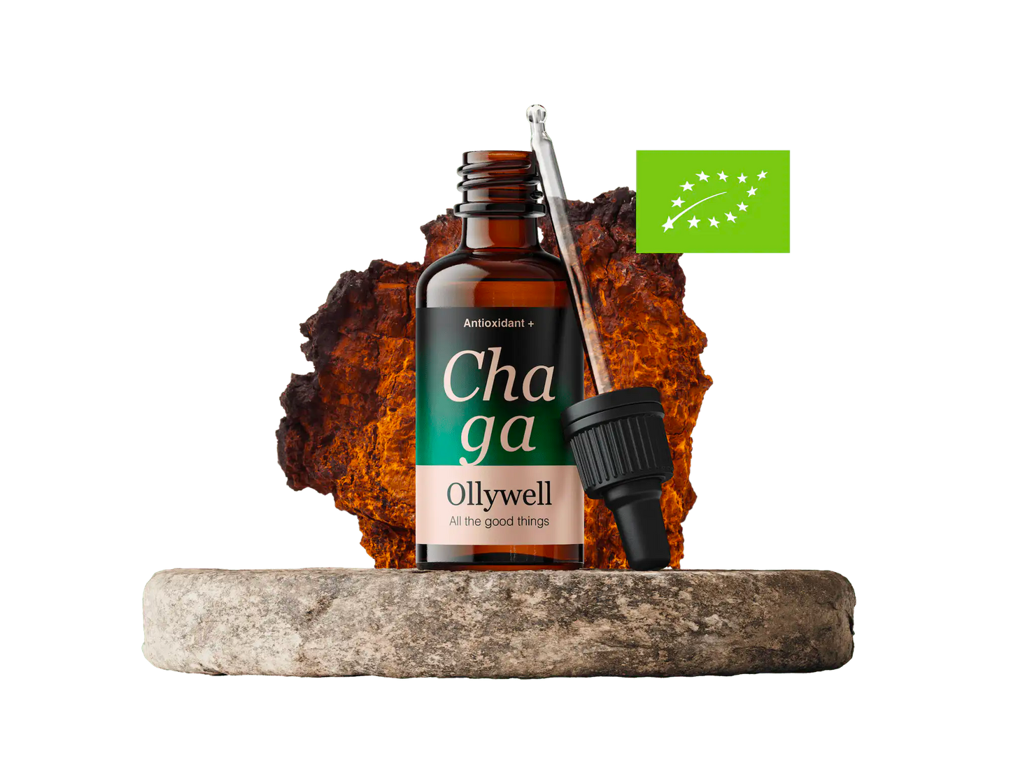 BIO Chaga: Antioxidant+
