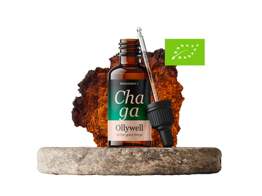 BIO Chaga: Antioxidant+