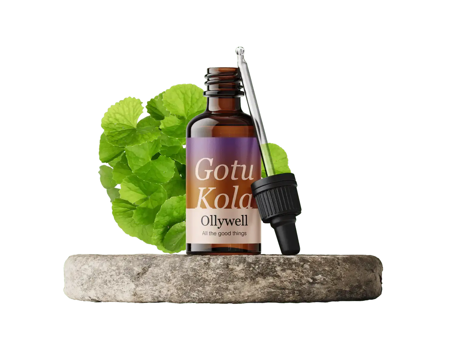 Gotu Kola: Vernieuwing+