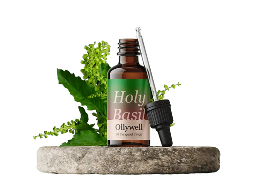 Heilige Basilicum: Balance+