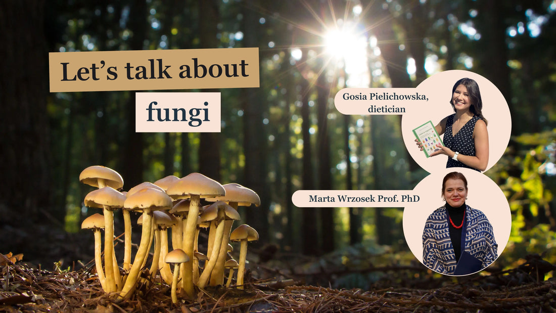 Podcast Ollywell - Kod Natury. Conversation with prof. Matrą Wrzosek.