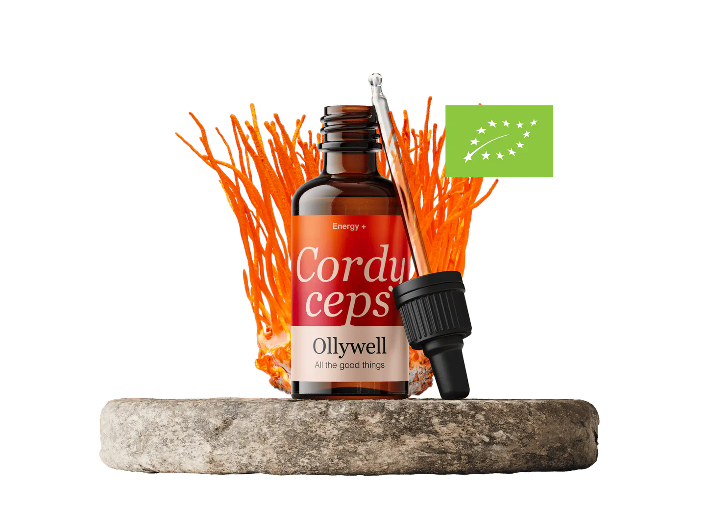 BIO Cordyceps: Energy+
