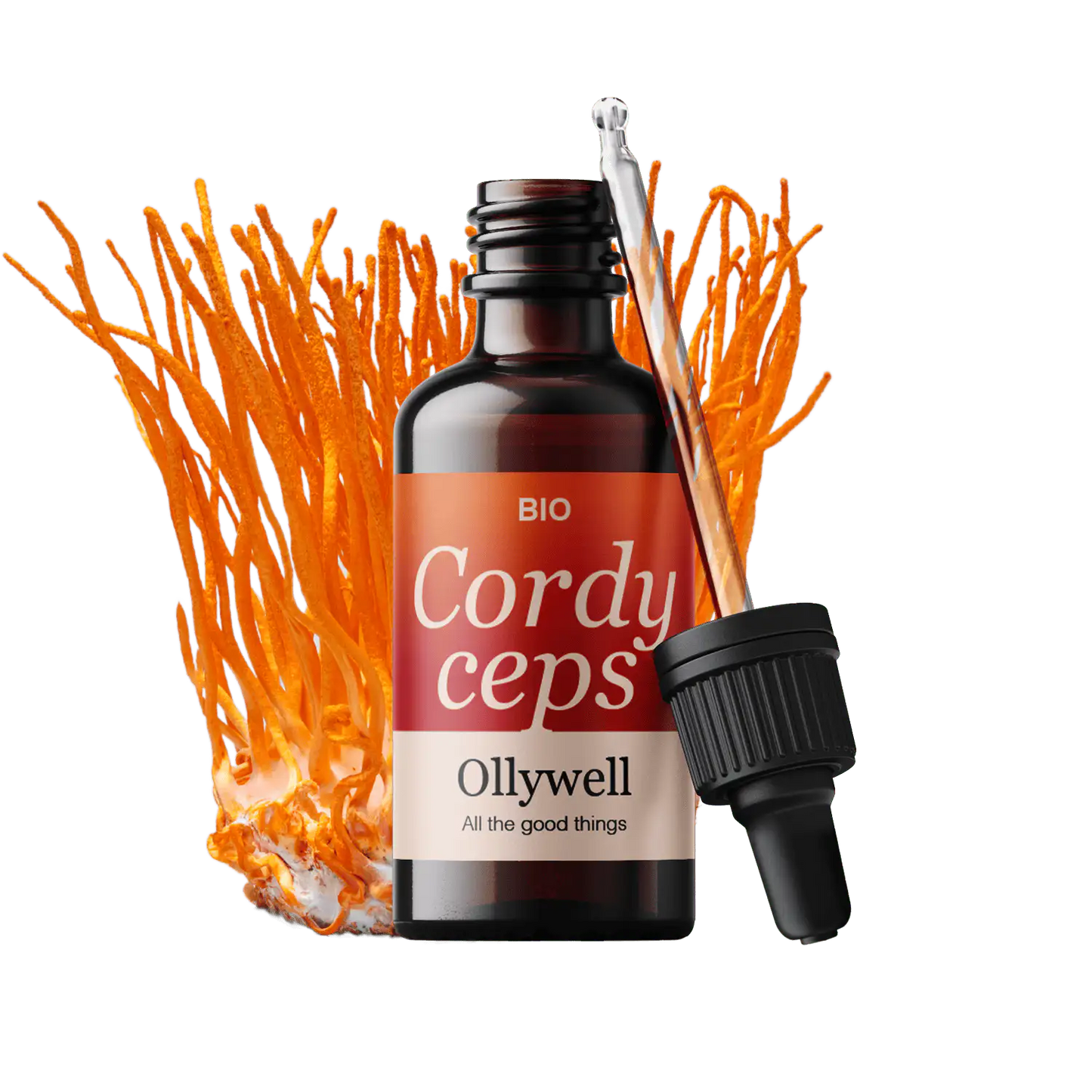 BIO Cordyceps: Energy+