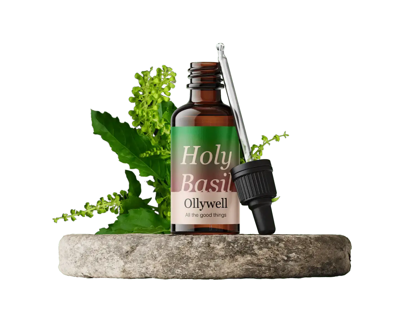 Heilige Basilicum: Balance+